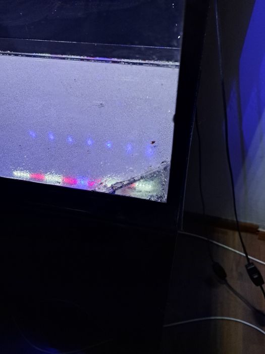 Akwarium Aquael Glossy – 125 l - pokrywa,szafka,filtr,tło,oświetleniee