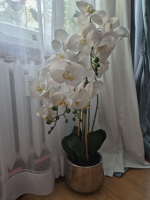 Orchidea biała storczyk duży Home&you