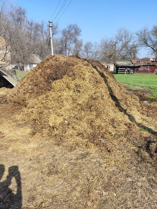 Продам навоз в большом количестве