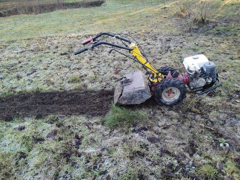 dzik glebogryzarka bcs