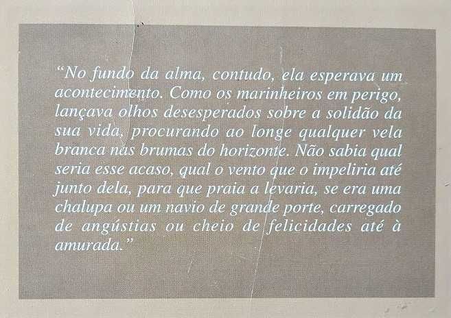 Gustave Flaubert - Madame Bovary & Salammbô