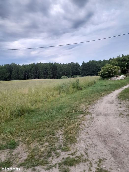 Działki w Chroślu. - View 3