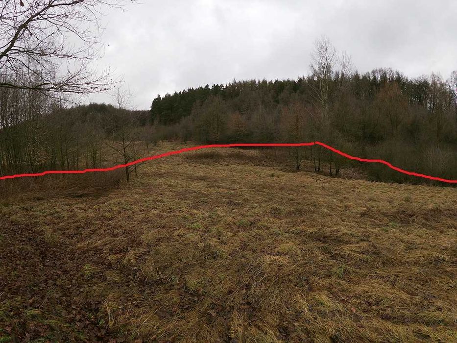 Działka  rolna  42a  Jerzmanice  Zdrój     !bieszczadzkie klimaty!