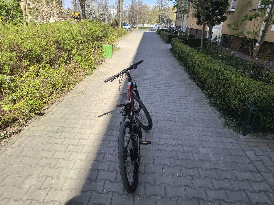 Rower górski (MTB) Venom