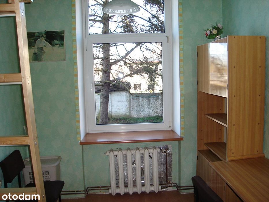 Zdjęcie 8