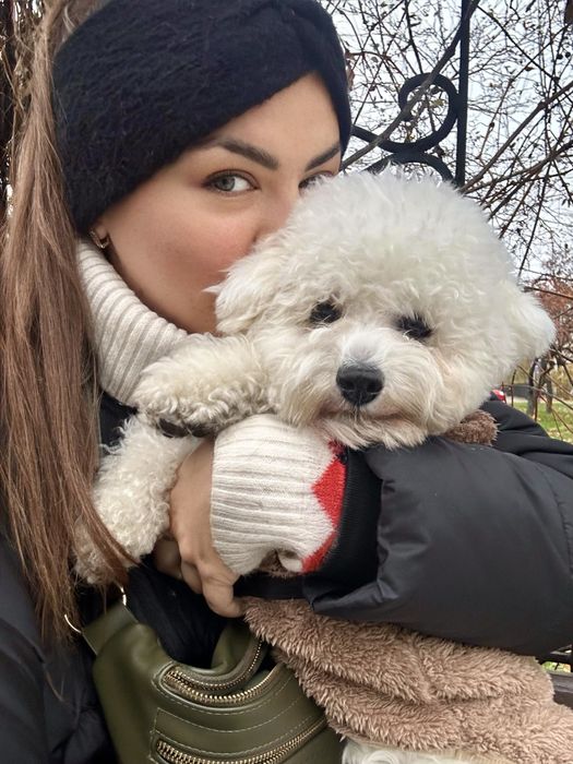 Передержка собак, котов