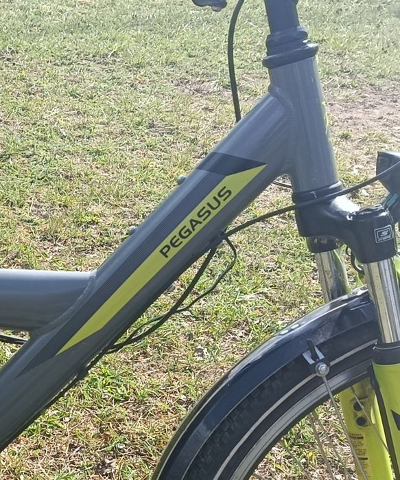 Rower młodzieżowy Pegasus 24"