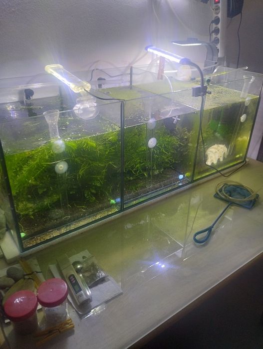 Aquários  50.  - 60 -  93cms 3 divisões