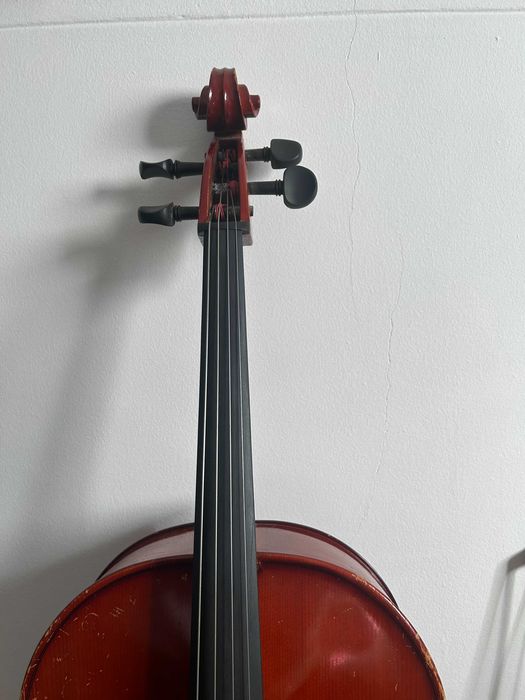 Violoncelo 3/4 incluindo acessórios