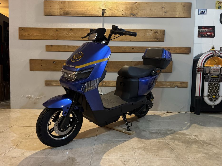 Scooter sem carta Vortex Goose Fox