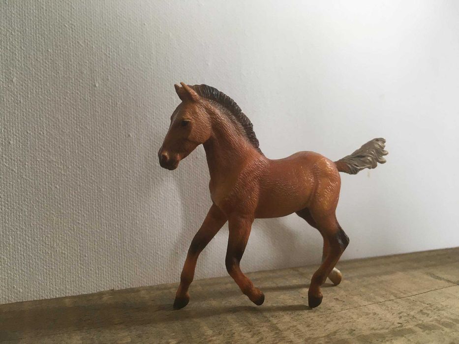 collecta kucyk źrebię rasy koń hanowerski