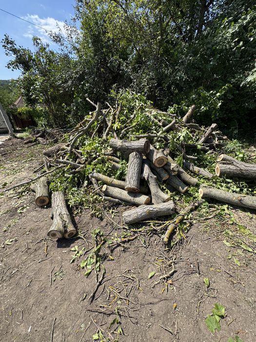 Порізка,чистка ділянок,обрізка дерев, корчування коріння