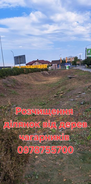 Розчищення ділянок від дерев