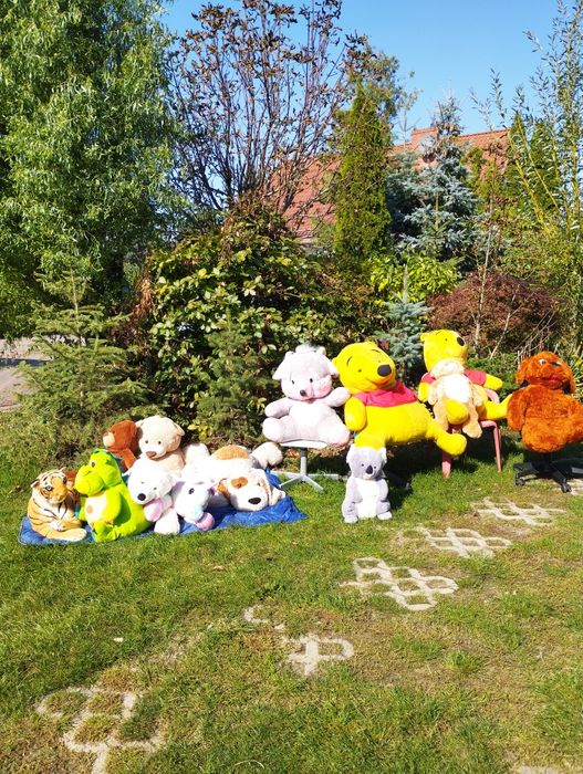Misie,maskotki cena 40 zł sztuka