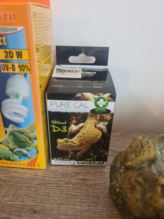 Terrario & Acessórios