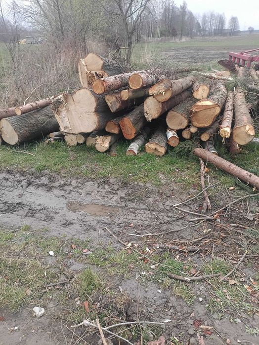 Drewno opałowe metry okazja