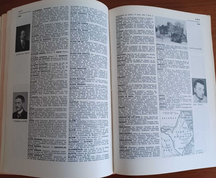 Dicionário Prático Ilustrado Lello
