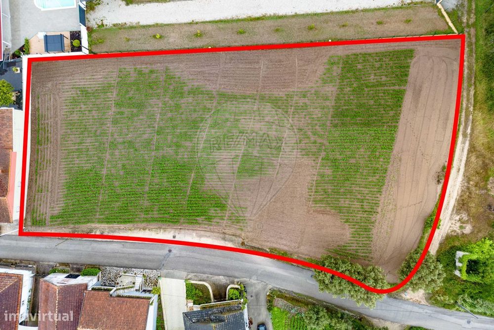Terreno  para venda