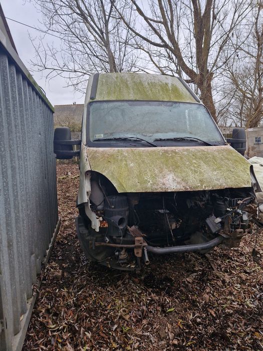 Bus iveco daily  z papierami