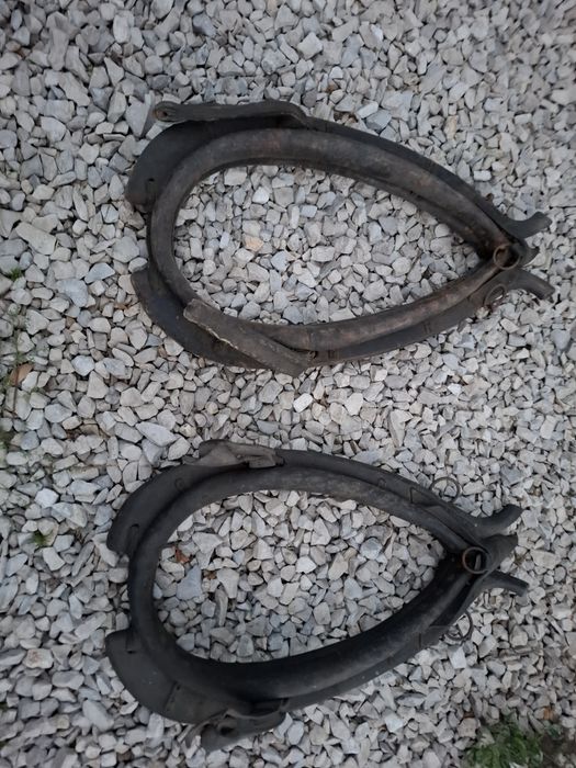 Homonta chomonta homonto