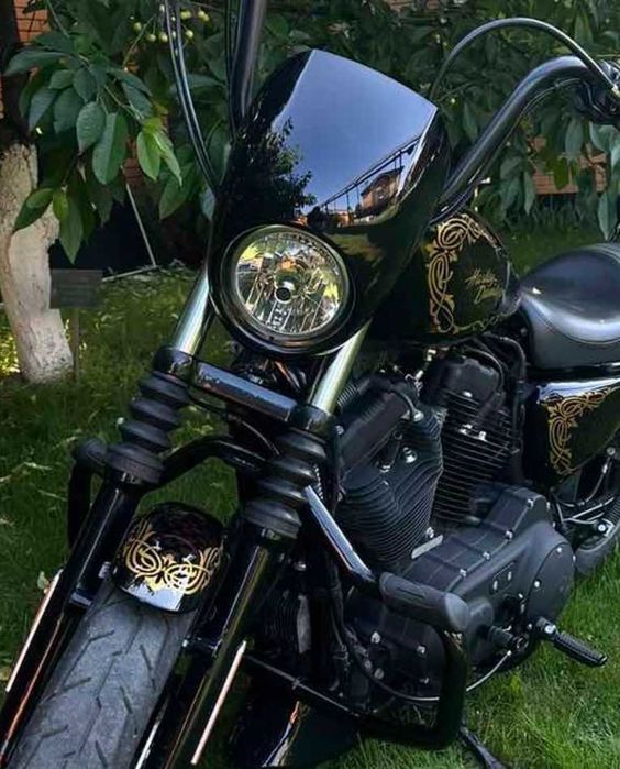 Harley-Davidson Sporster XL1200 Iron 2021 Аерографія