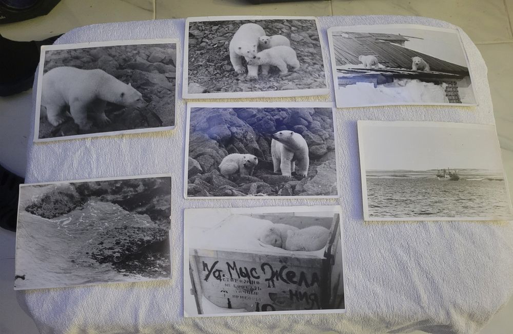 Fotos a Preto e Branco .