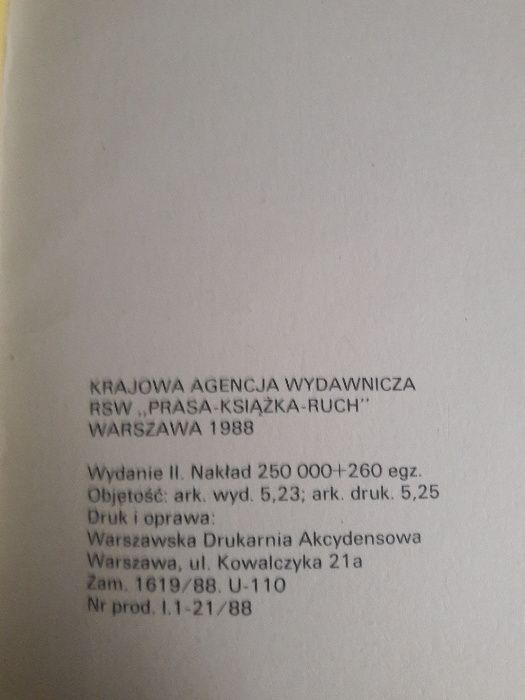 Komiks Kajko i Kokosz Złoty Puchar