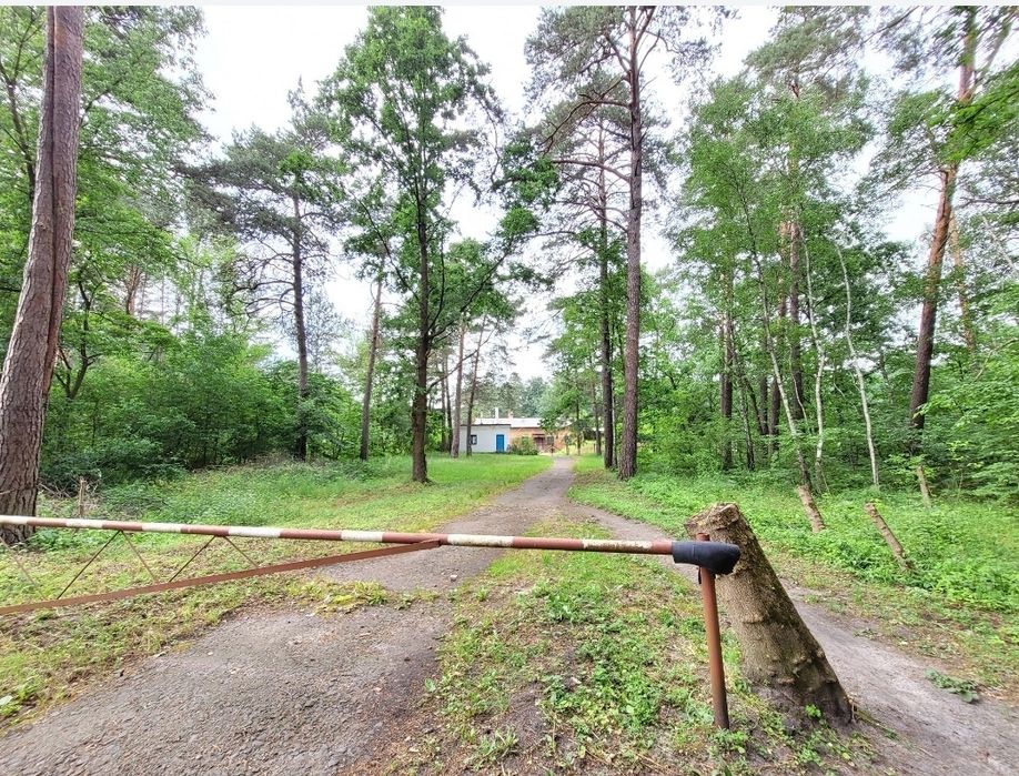 Продам! Виробничу базу,(ковбасний цех) 58сот, 530м2!