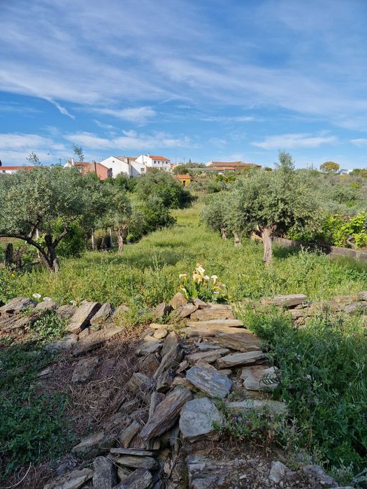 Casa com terreno nos maxiais