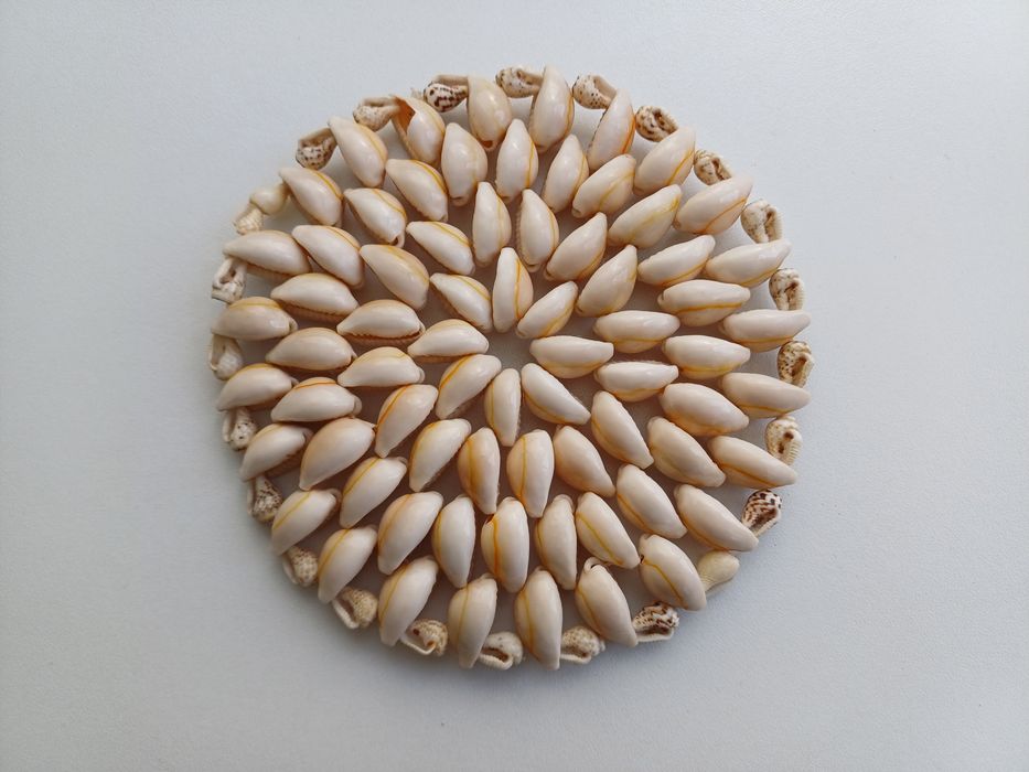 Decorative pot/cup base made from seashells/conch shells447168147012997121