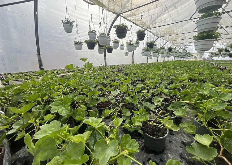 Продаж комерційного приміщення в Яришівці