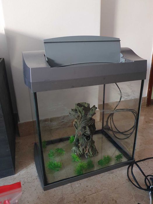 Aquário da marca Tetra e acessórios