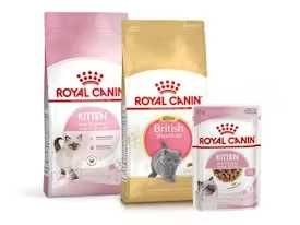 -25% Royal Canin для котів на весь асортимент / в наявності