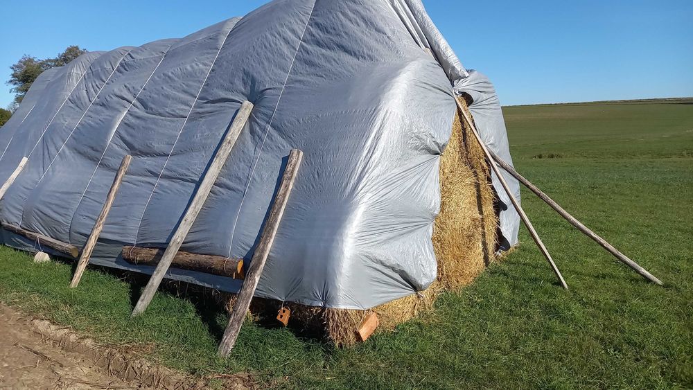 Słoma w belach , duża , po prasie pasowej