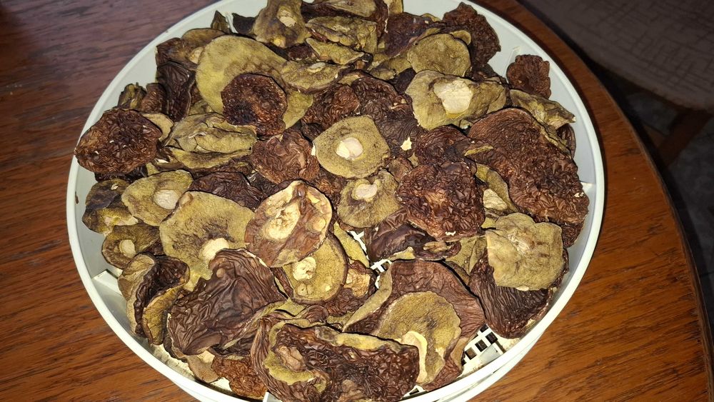 Podgrzybek suszony kapelusz 300g 2025r