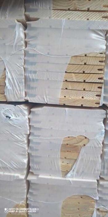 Świerk skandynawski