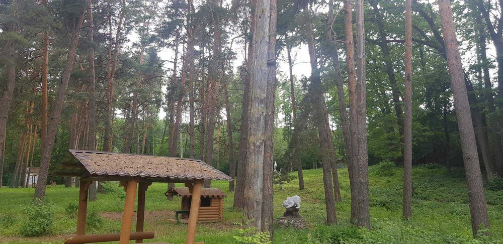 Продам будинок + парк 2 Га в Старому Мерчику | варіант для себе та бізнесу