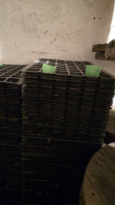 Multiplaty do truskawek 54 otwory  2,5zł za sztukę
