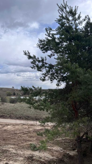 Модульний будинок 38м² в с.Підгірці ділянка 5 соток (вид на озеро)