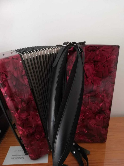 Acordeão Hohner Student 120