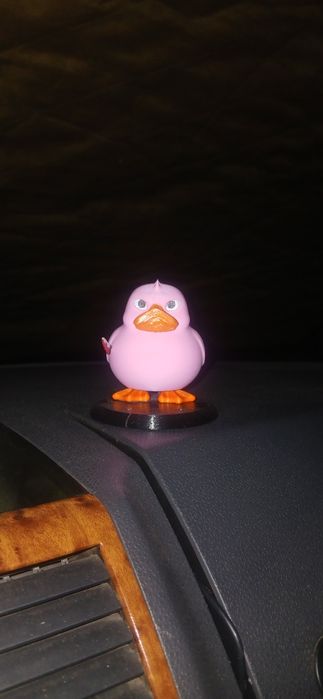 Качечки в машину