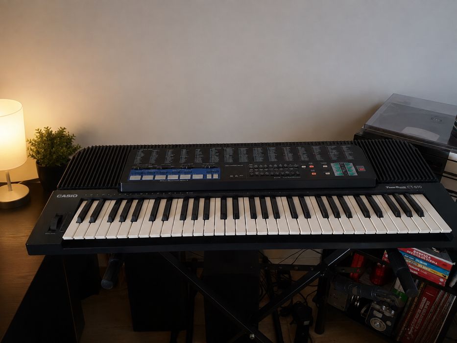 Orgão Profissional Casio e Colunas