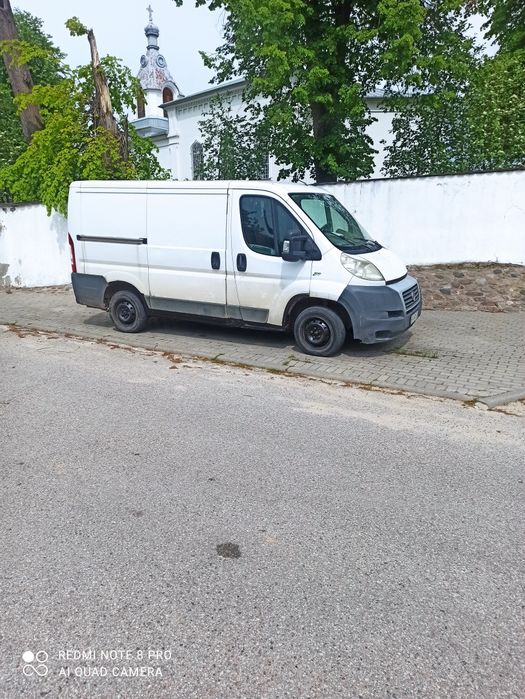 Bus na sprzedarz