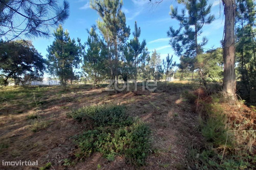 Terreno Rustico