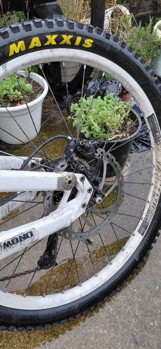 Scott gambler dh20