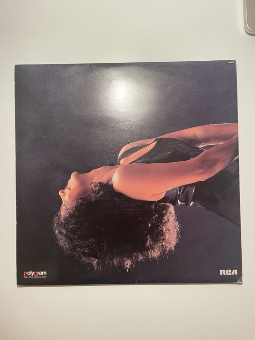 Discos vinil Gal Costa, Aquarela do Brasil e Roque Santeiro