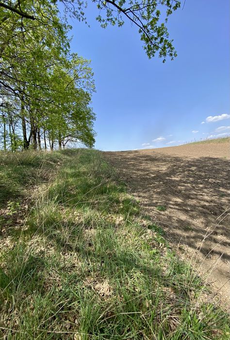 Панорамна Ділянка 70 сот. м. Обухів 3 км. Київ 29км.