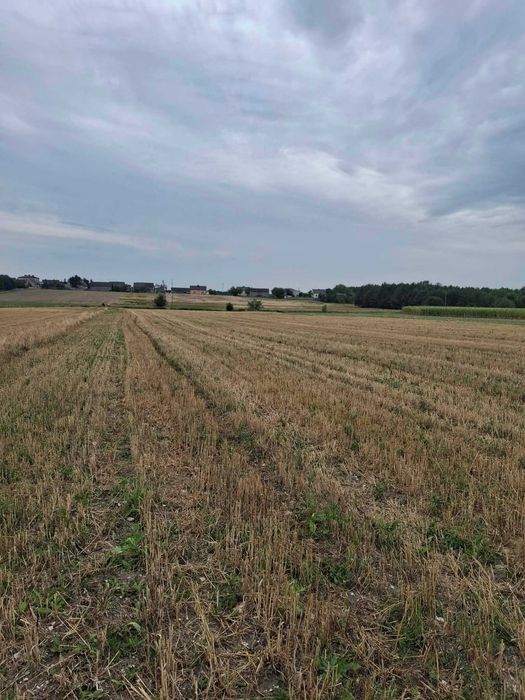Działka rolna w Mnichowie 1.04ha