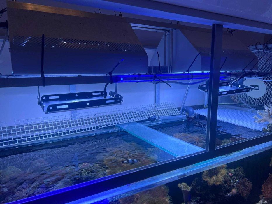 Lampy akwarystyczne HQI