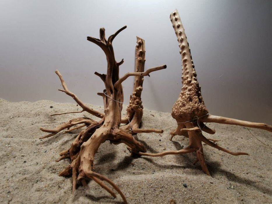 Korzenie Red Moor Root Nano 100g, korzenie do akwarium, Turkusowe Zoo